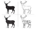 Deer meat cuts with elements and names. Isolated black on white background. Butcher shop.