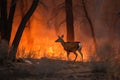 deer in the midst of wildfires and smoke. Wildlife Animals. Illustration. Generative AI