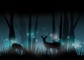 Deer in misty forest