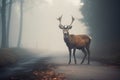 Deer on misty forest road. Generate ai