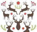 Deer & Nature Set decoration elements white background