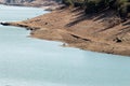 Deer near the convergence of the Tajo and Tietar rivers, Villareal de San Carlos, Spain