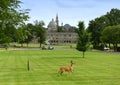 Deer in the park the Catholic University of America and Basilica Royalty Free Stock Photo