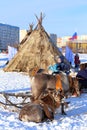 Deer and plagues of Nenets against the city