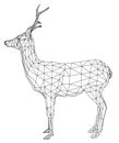 Deer polygonal lines illustration