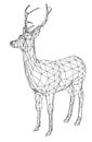 Deer polygonal lines illustration