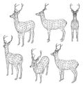 Deer polygonal lines illustration