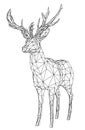 Deer polygonal lines illustration