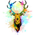 Deer Pop Art Dripping Paint