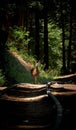 Deer on rails in the redwood forest Royalty Free Stock Photo
