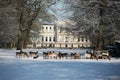 Deer resting in the park in front of the beautiful old mansion