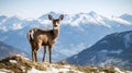 Alpine Deer in Mountain Landscape