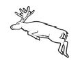 Deer Run Then Jump Black And White Illustration Royalty Free Stock Photo