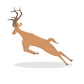 Deer. Running reindeer, vector illustration