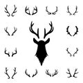 Deer s head and antlers set. Design elements of deer Royalty Free Stock Photo