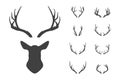 Deer s head and antlers set. Royalty Free Stock Photo