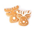 Deer shaped Christmas cookies on white background, top view