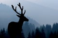 Deer silhouette on mountains background