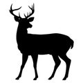 Deer silhouette. Side view Royalty Free Stock Photo