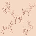 Deer sketch. Pencil drawing by hand. Vintage colors. Vector Royalty Free Stock Photo