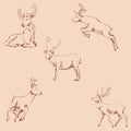 Deer sketch. Pencil drawing by hand. Vintage colors. Vector Royalty Free Stock Photo