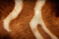 Deer Skin Texture Background, Spotted Deer Fur Pattern, Generative AI Illustration Royalty Free Stock Photo