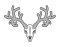 Deer skull isolated. Moose skeleton head. vector illustration Royalty Free Stock Photo