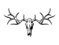 Deer skull realistic vector illustration. Royalty Free Stock Photo