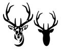 Deer stag with big antlers black and white vector portrait Royalty Free Stock Photo