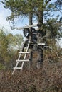 A deer stand in a Minnesota forest Royalty Free Stock Photo