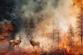 A deer stands in front of a raging forest fire, highlighting the environmental threat posed by wildfires