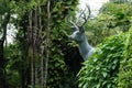 Deer Statue in the garden