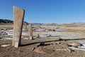 Deer stones are ancient megaliths