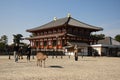 Deer strolling among a group of people near a historic Japanese temple in Nara, Japan Royalty Free Stock Photo