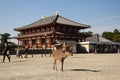 Deer strolling among a group of people near a historic Japanese temple in Nara, Japan Royalty Free Stock Photo