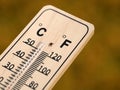 deer tick, Ixodes scapularis, on wooden thermometer, with rising temperatures, the tick population also increases Royalty Free Stock Photo