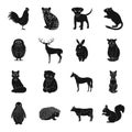 Deer, tiger, cow, cat, rooster, owl and other animal species.Animals set collection icons in black style vector symbol Royalty Free Stock Photo