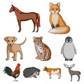 Deer, tiger, cow, cat, rooster, owl and other animal species.Animals set collection icons in cartoon style vector symbol Royalty Free Stock Photo