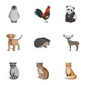 Deer, tiger, cow, cat, rooster, owl and other animal species.Animals set collection icons in cartoon style vector symbol Royalty Free Stock Photo