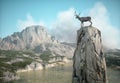 Deer on top of a rock looking at a big mountain