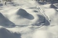 Deer Prints in Snowy Rocky Terrain Royalty Free Stock Photo