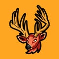 DEER BEST ILLUSTRATION