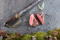 Deer or venison steak with ingredients like sea salt, herbs and pepper and antique saber, food background for restaurant or huntin