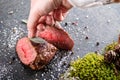 Deer or venison steak with ingredients like sea salt, herbs and pepper and hand chef, food background for restaurant or hunting lo Royalty Free Stock Photo