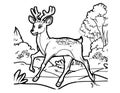 Deer Walking In The Forest Coloring Page For Kids Royalty Free Stock Photo