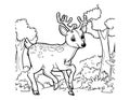 Deer Walking In The Forest Coloring Page For Kids Royalty Free Stock Photo