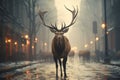 The deer walks along the street of the evening city. Destruction of the natural habitat of animals