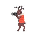 Deer in warm vest taking pictures with a camera, funny animal cartoon character traveling on vacation vector