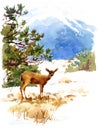 Deer Watercolor Winter Animal Illustration Nature Mountains Hand Painted Royalty Free Stock Photo