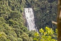 Deer Waterfall - Bocaina Range